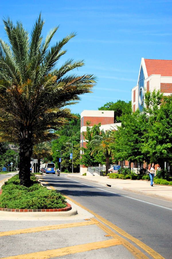 Landscape Design for Museum road at the University of Florida